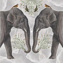 Karnet kwadrat z kopertą Indian Elephant