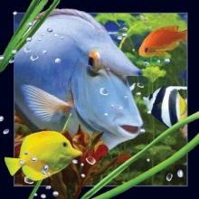 Pocztówka 3D Niebieska ryba