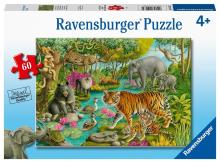 Puzzle 60 Zwierzęta Indii